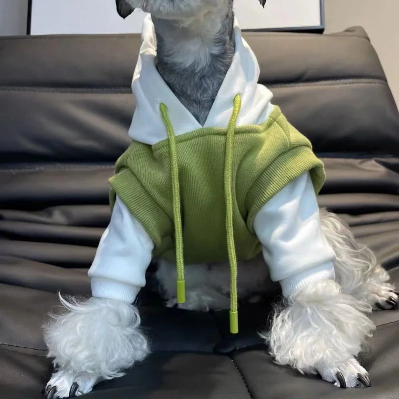 Helles grünes Kapuzenpullover, getragen von einem Hund auf einem dunklen Sofa.