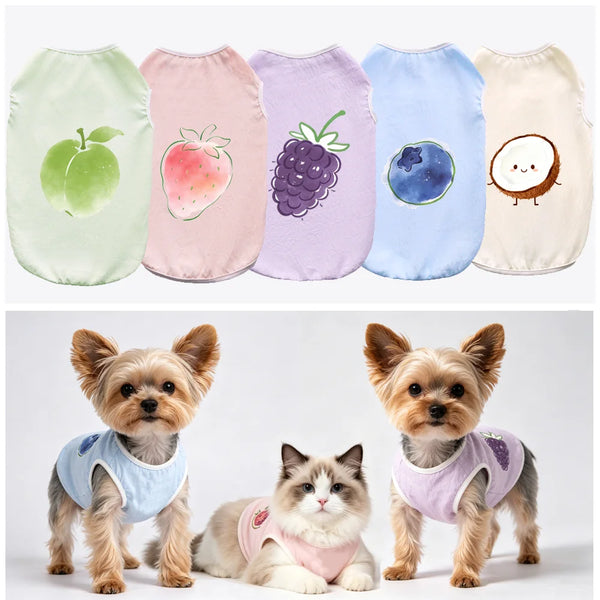 A collection of five pastel-colored lightweight breathable pet fruit vests for dogs, featuring green, pink, purple, blue, and