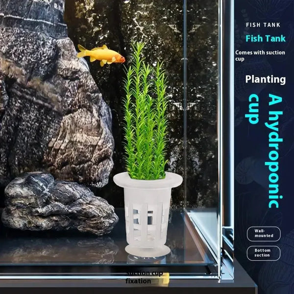 Une coupe hydroponique en plastique transparent avec des plantes vertes à l'intérieur, présentée dans un aquarium en verre.