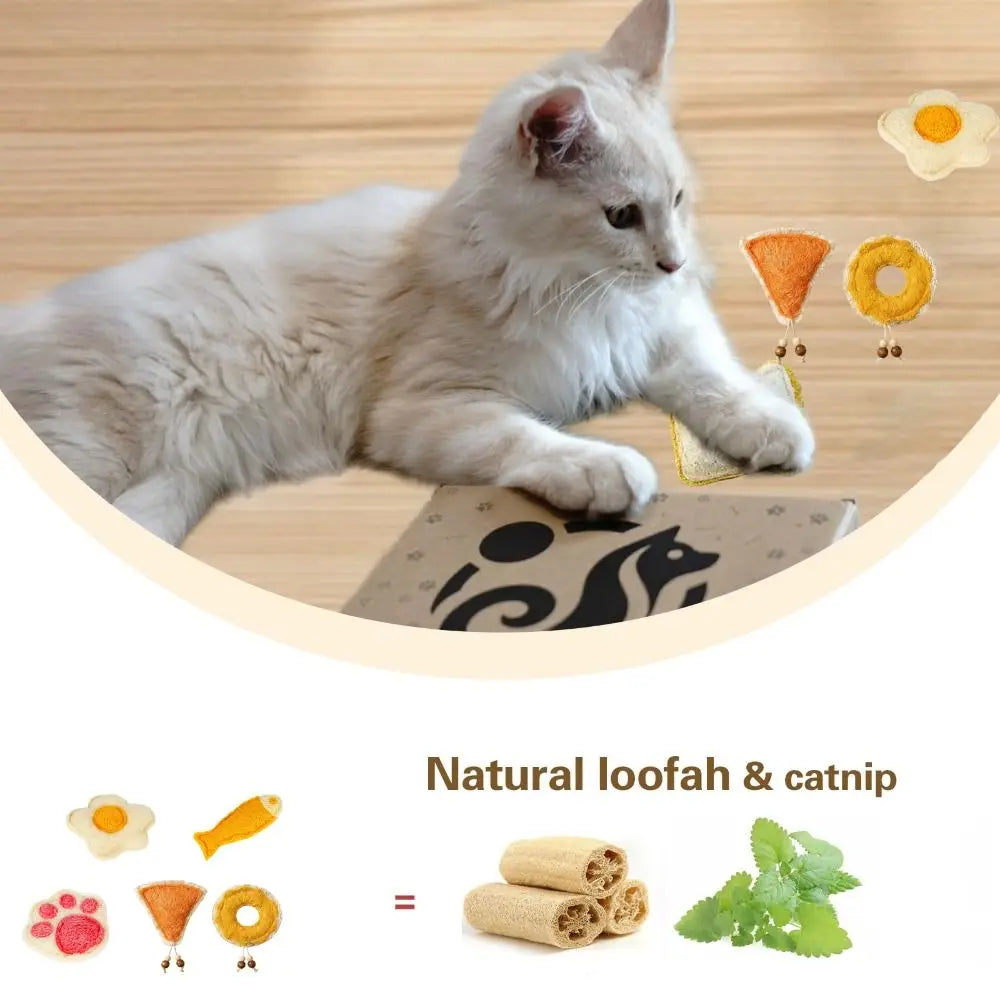 Natural loofah and catnip toys shown next to a fluffy gray cat