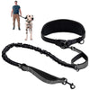 A black hands-free dog leash with a lumbar support belt and attached to a dog.