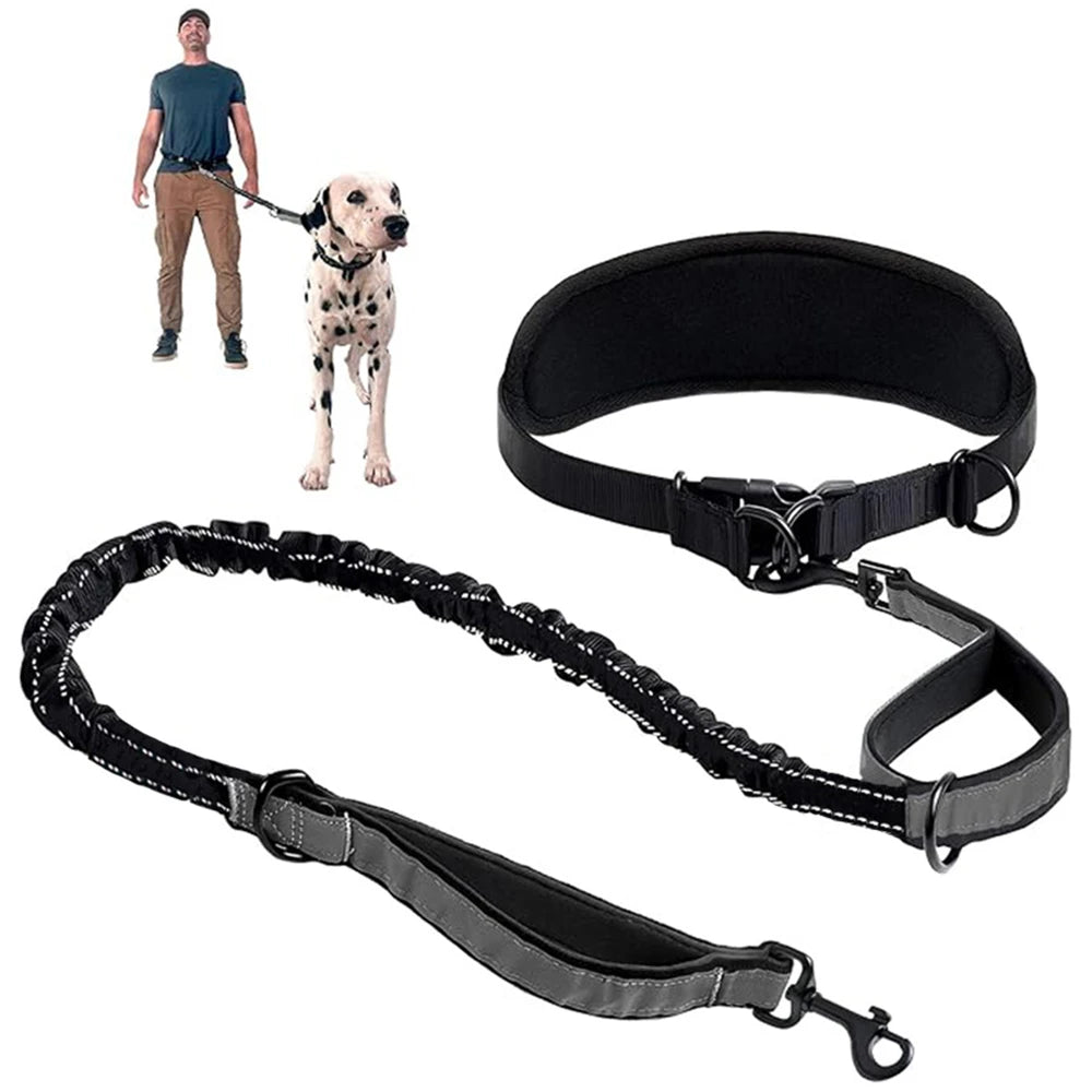 A black hands-free dog leash with a lumbar support belt and attached to a dog.