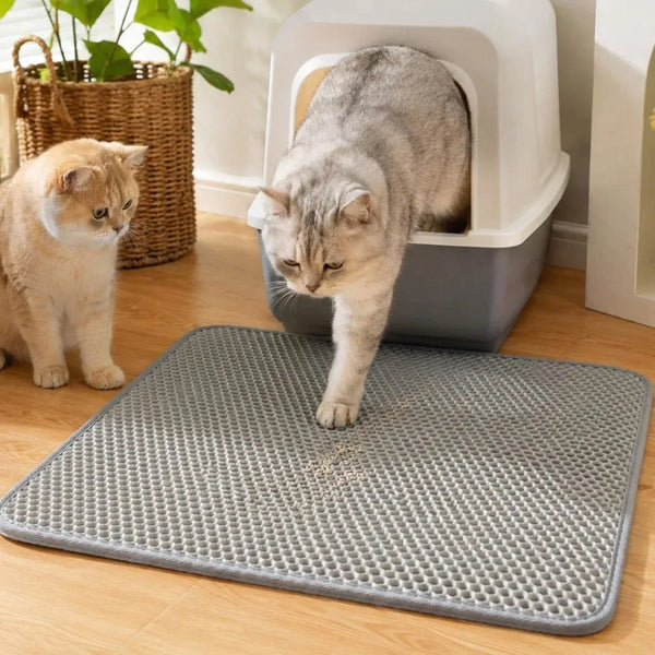 A gray cat stands next to an extra-large double-layer cat litter mat on a wooden floor.