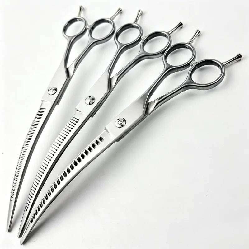 Ein Paar silberner gebogener Haarscheren für Haustiere liegt auf einer weißen Oberfläche.