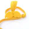 Yellow parrot bird harness and leash set with padded grips