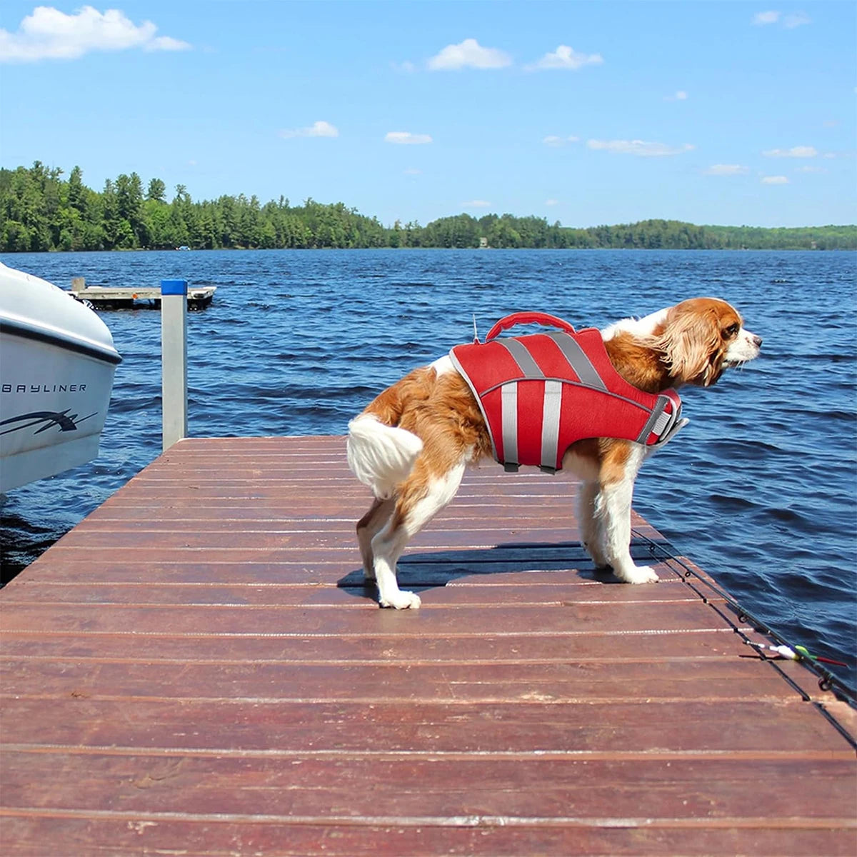 Ein goldener Retriever mit einer rot-grauen wasserdichten Rettungsweste steht auf einem Holzsteg über blauem Wasser.