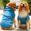 A golden retriever wearing a blue zippered hoodie sitting next to a light brown dog.
