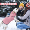 A man and woman enjoy playing in the snow with a dog wearing a pink fleece sweater.