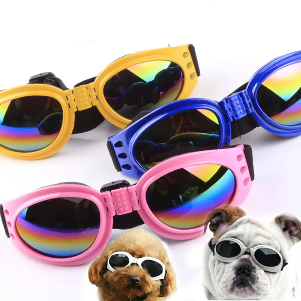 Eine Sammlung farbenfroher Hundesignbrillen mit Regenbogenlinsen in Rosa, Gelb und Blau.