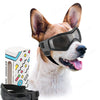 A light-colored dog wearing black adjustable UV protection sunglasses.