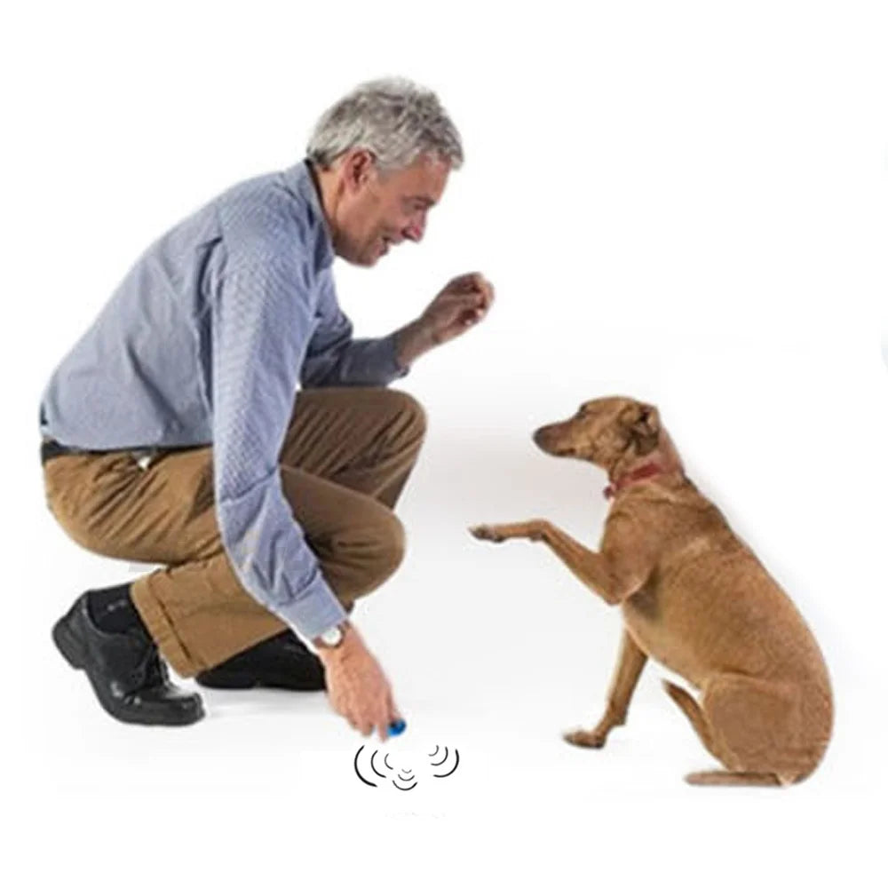 A man is training a dog using a 2-in-1 dog training clicker and whistle with a keyring.