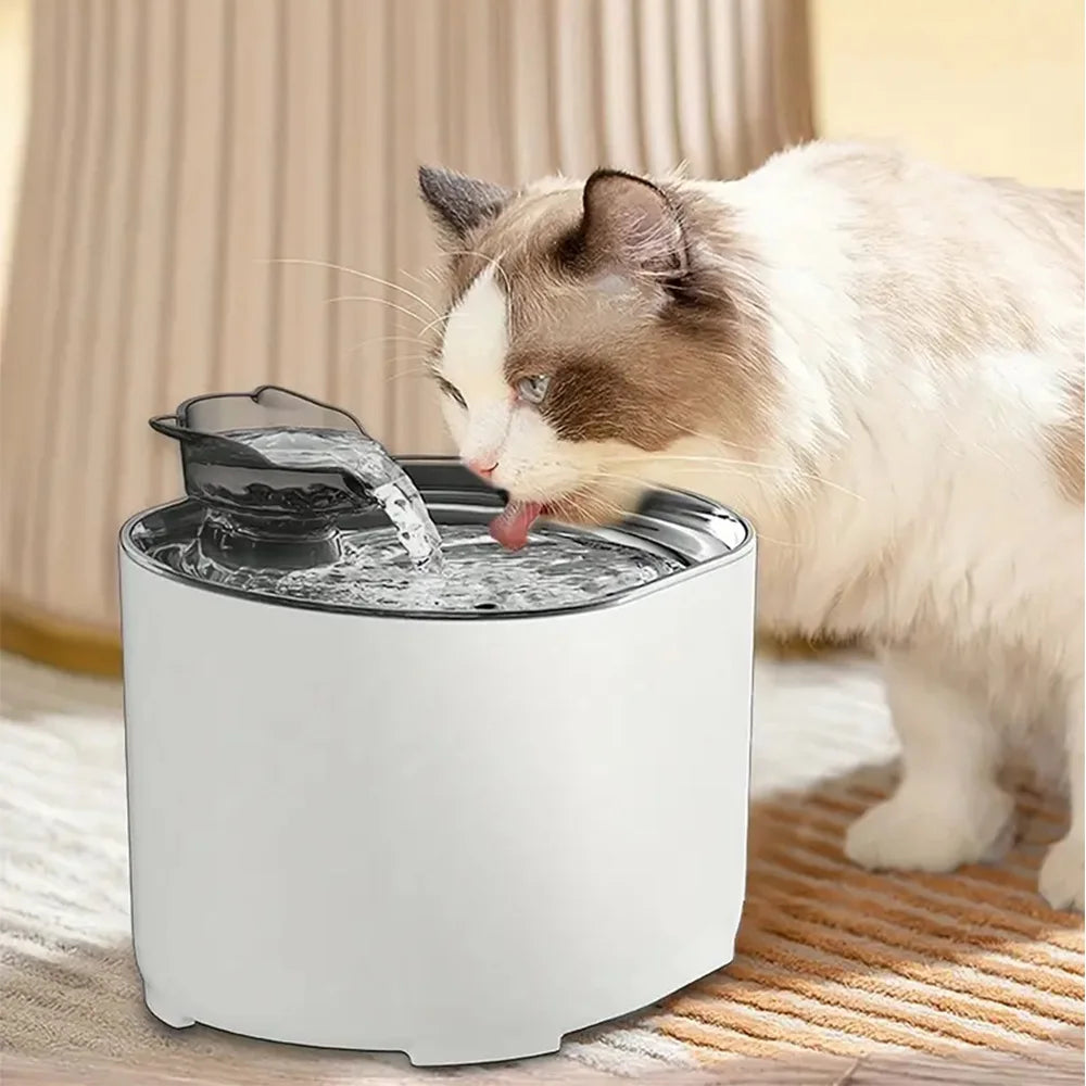 A domestic cat is drinking water from a white fountain, showing the ultra-quiet pump and filtration system.