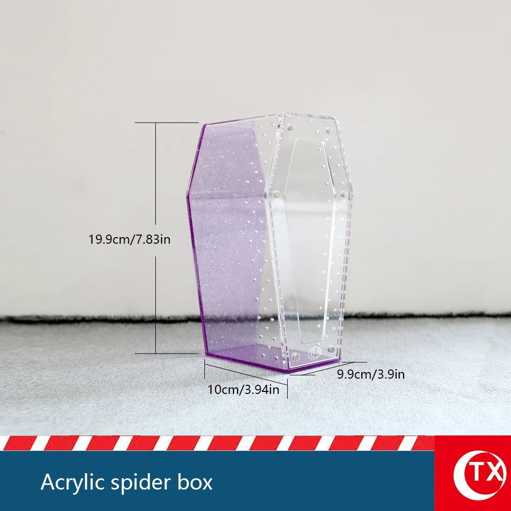 Clear acrylic spider box with purple accents and magnetic door shown on a white surface.