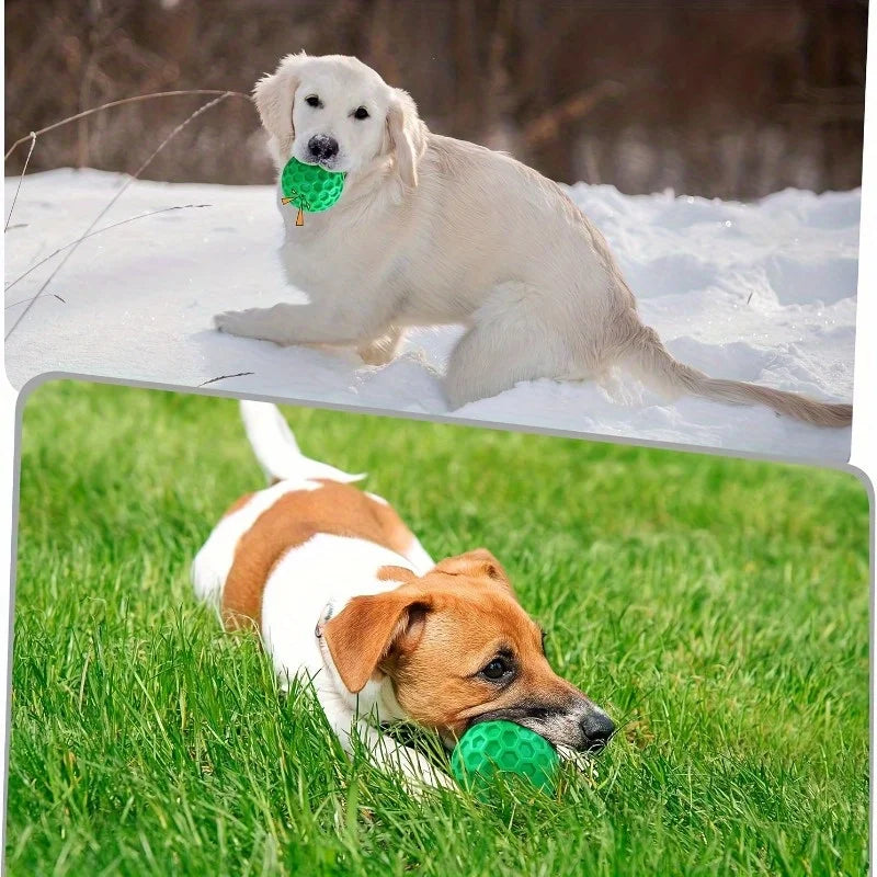 Un perro de color claro juega con un juguete masticable verde en la nieve y luego en el pasto.