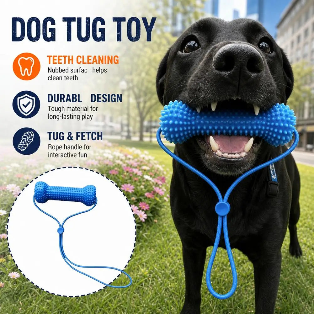 A black dog holds a blue tug toy and rope, demonstrating the teeth cleaning and tug and fetch features.