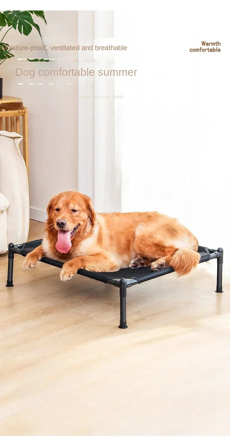 A golden-colored dog is lying on a black portable folding pet bed indoors.