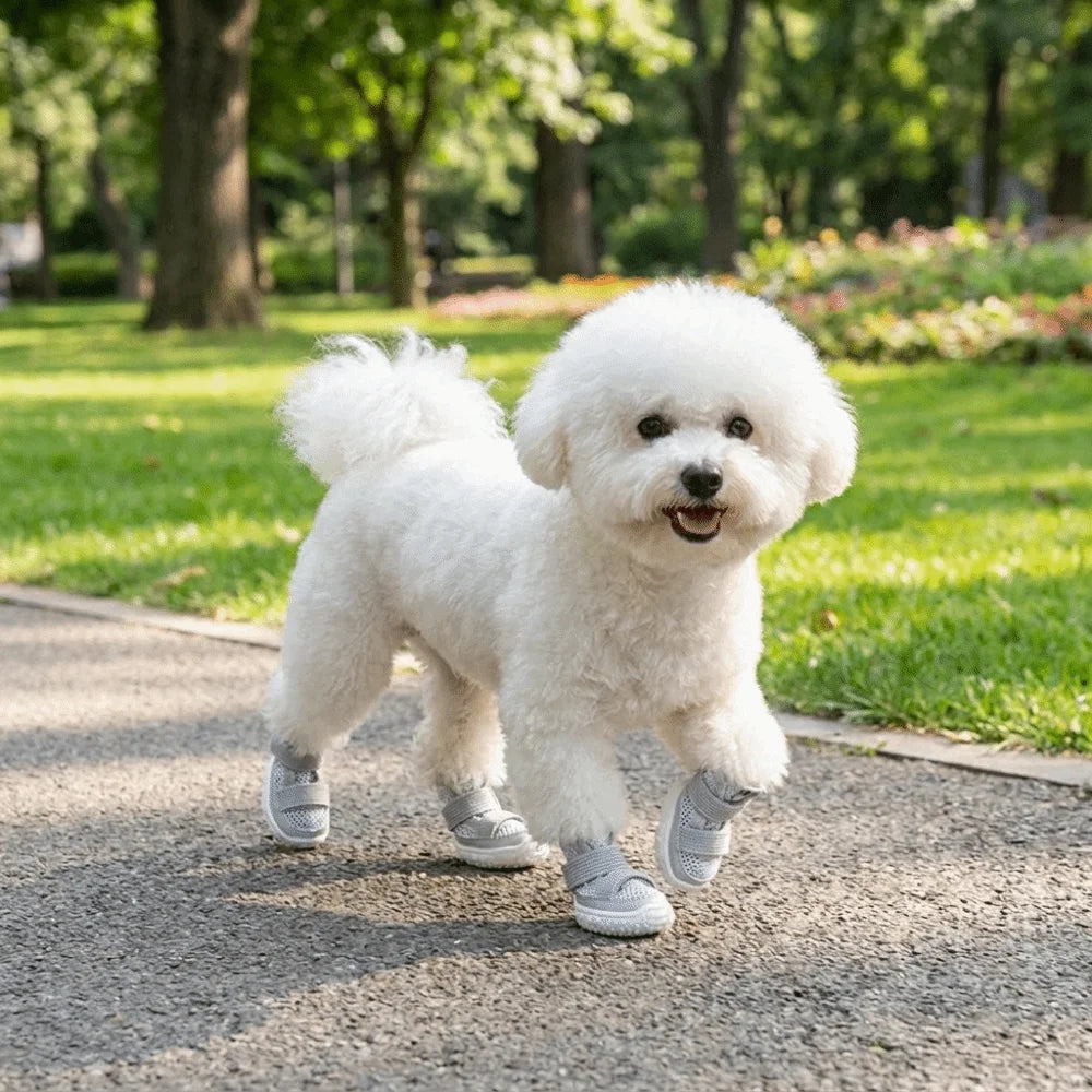 A fluffy white dog wearing gray anti-slip shoes walks on a paved path in a park.