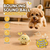 A fluffy light brown dog is playing with a yellow squeaky bouncing ball on a wooden floor.