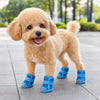 A light tan poodle wearing blue breathable mesh dog shoes standing on a gray pavement.