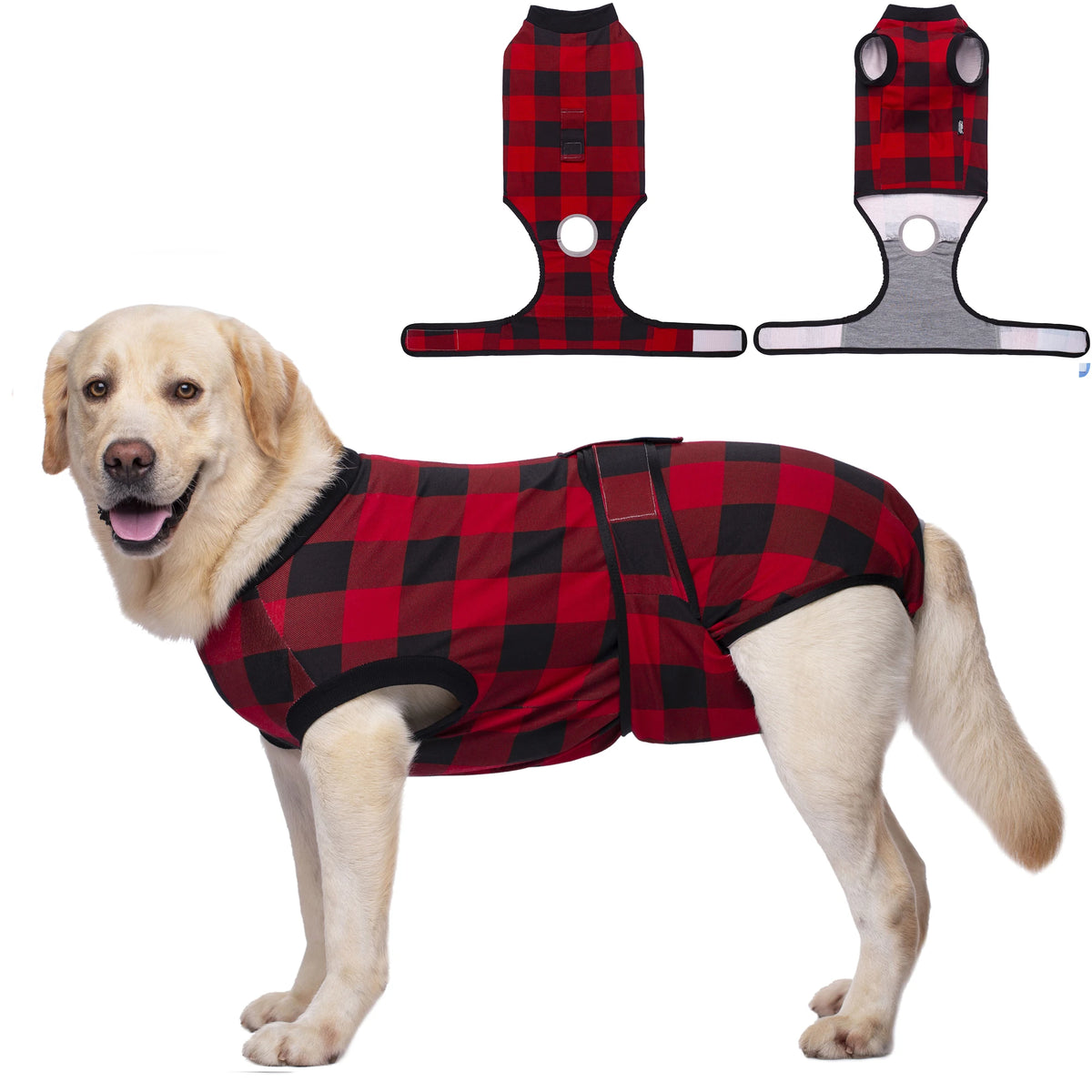 A golden retriever wearing a red and black plaid durable cotton recovery suit for dogs.