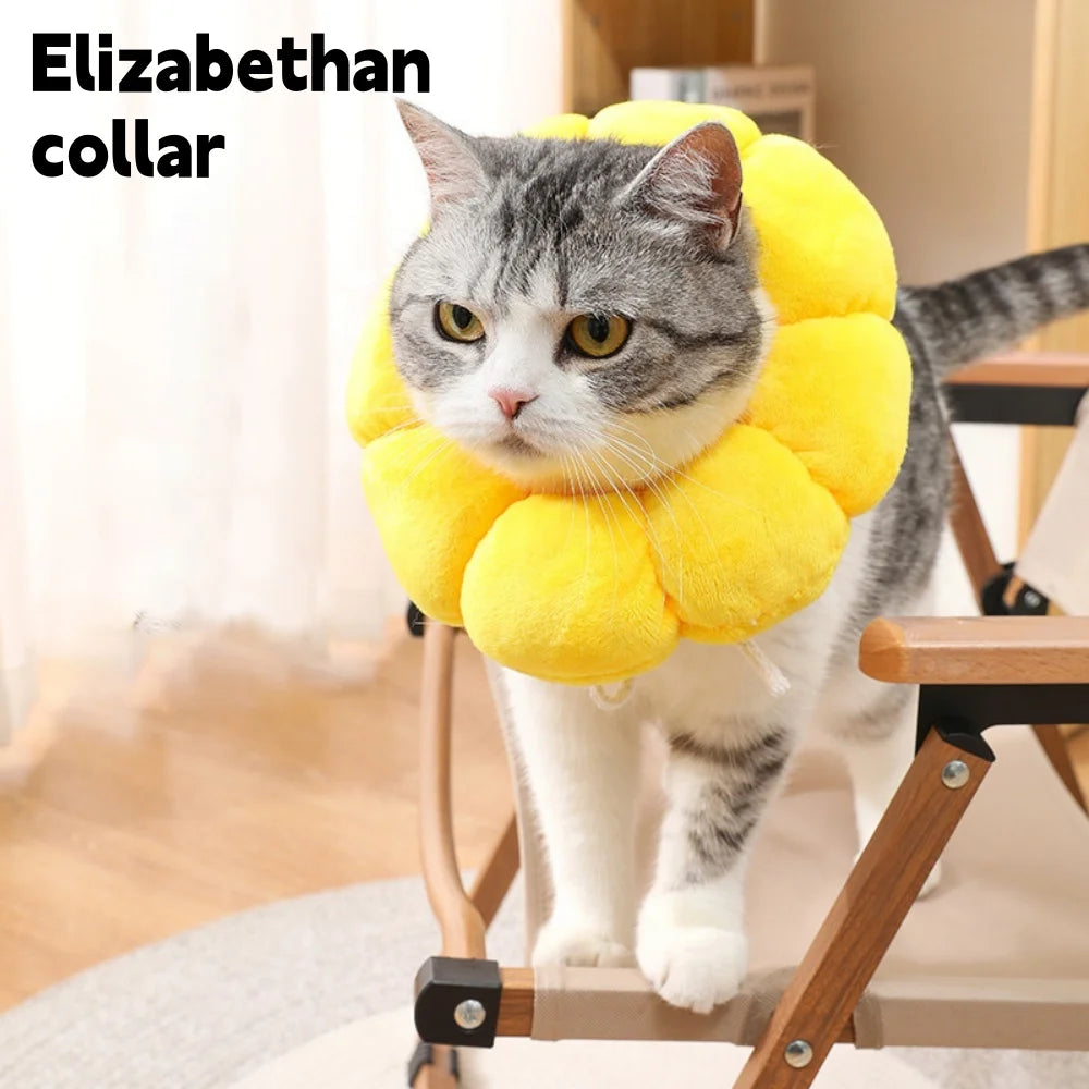 A gray and white cat wearing a yellow soft plush Elizabethan collar.