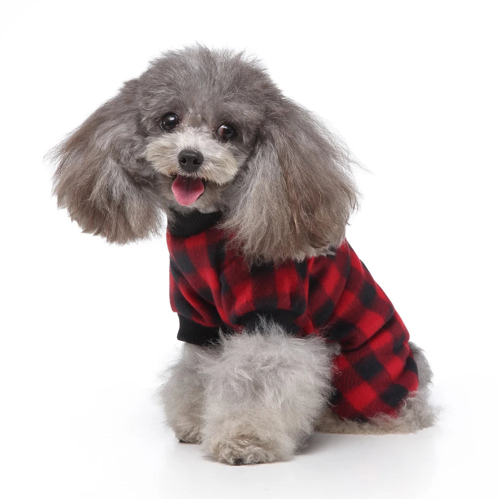 A fluffy gray poodle wearing a red and black plaid shirt.