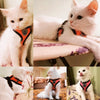 Una colección de gatos blancos usando arneses para mascotas naranja y negro.