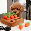 A fluffy brown dog is looking at a wooden mat filled with orange carrot-shaped toys for dogs and cats.