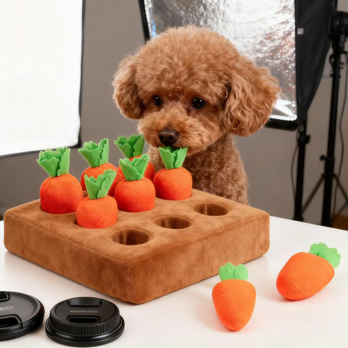A fluffy brown dog is looking at a wooden mat filled with orange carrot-shaped toys for dogs and cats.