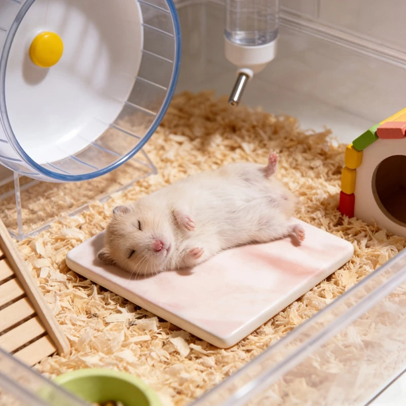 Ein kleiner weißer Hamster ruht auf einer rosa Kühlmatte in einem durchsichtigen Gehege mit Drahtdeckel.