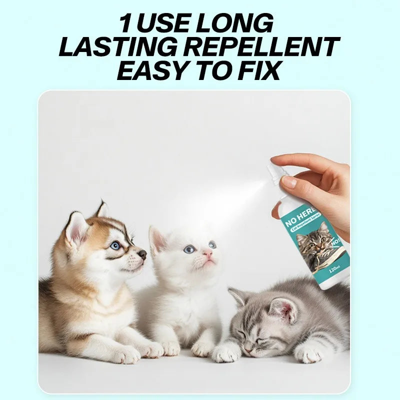 A hand holds a spray bottle of long-lasting repellent while three kittens rest on a white surface.
