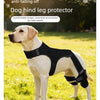 A light-colored dog is wearing a black anti-slip and anti-falling off dog hind leg protector.