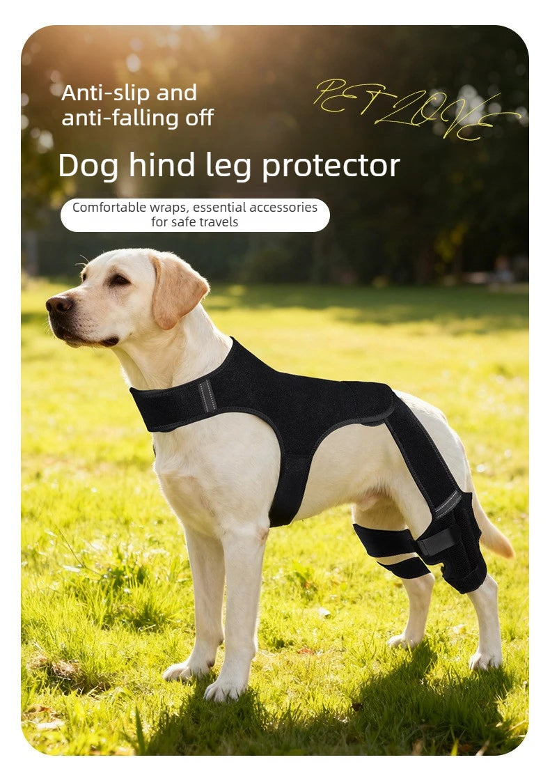 A light-colored dog is wearing a black anti-slip and anti-falling off dog hind leg protector.