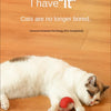 A white and gray cat is playing with a red rolling ball toy on a wooden floor.