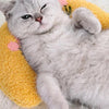 Un chaton gris et duveteux se détend sur un coussin d'animal jaune.
