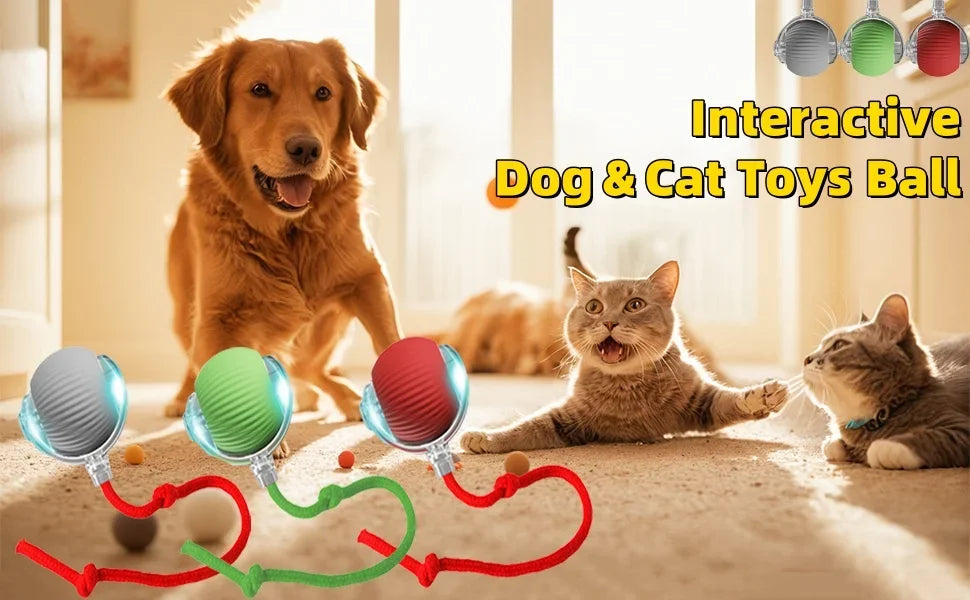 A dog and a cat interacting with colorful interactive ball toys on a light-colored floor.