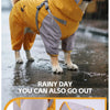 Una mascota dorada con impermeable amarillo y arnés caminando bajo la lluvia. El abrigo tiene pies elásticos en espiral y un 