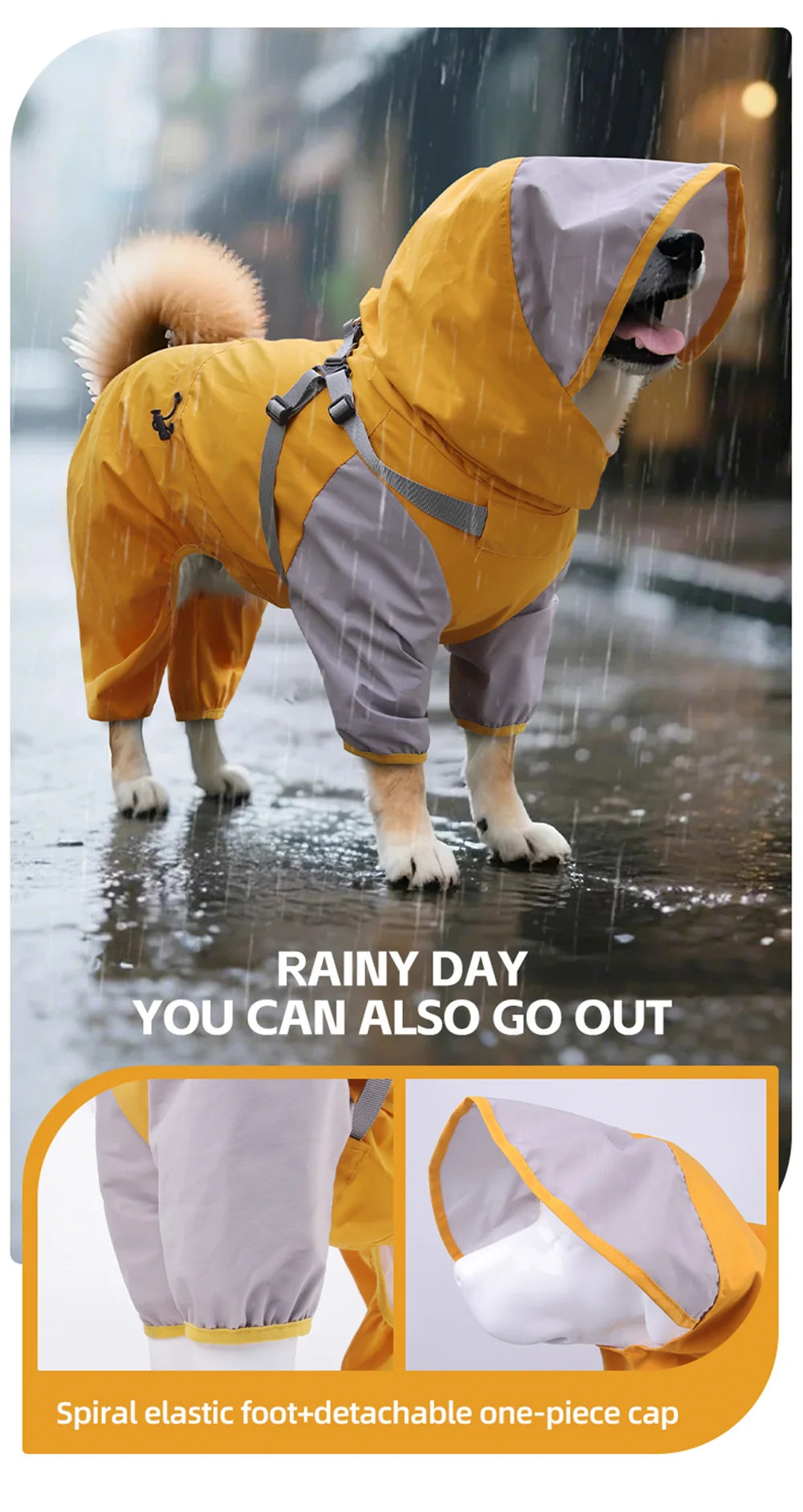 Una mascota dorada con impermeable amarillo y arnés caminando bajo la lluvia. El abrigo tiene pies elásticos en espiral y un 