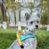 Hund mit blauem Geschirr sitzt auf grünem Gras und demonstriert das T-Style Atmungsaktive Geschirr.