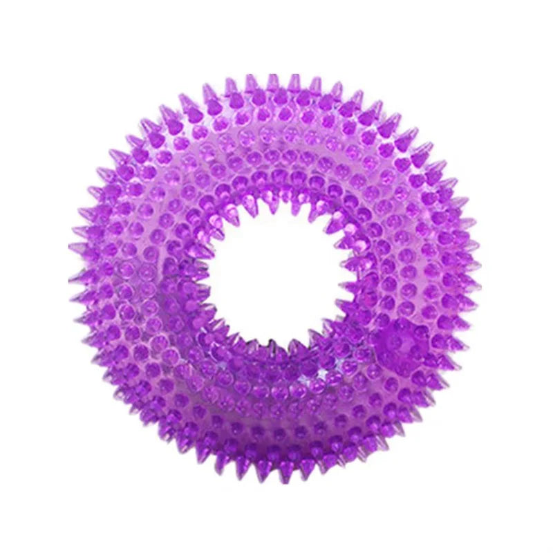 A purple, spiky squeaky dog chew toy for dental care.