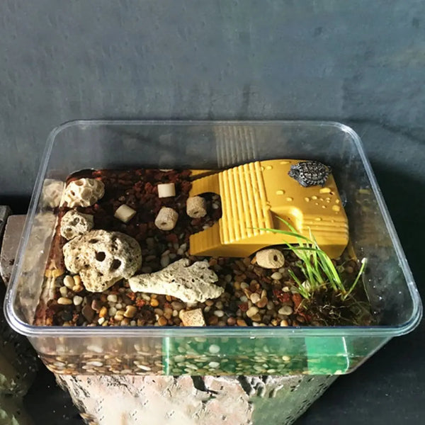 A clear plastic container holds an adjustable basking platform with yellow suction cups for reptiles and amphibians on a subs