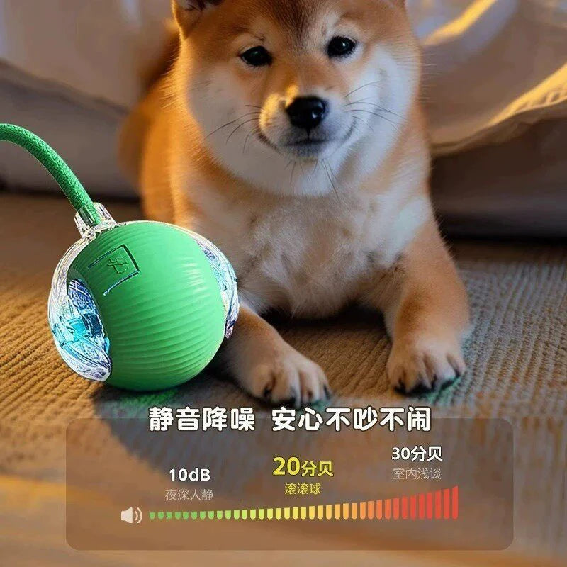 A fluffy Shiba Inu dog is looking at a green interactive rolling toy ball on a textured surface.