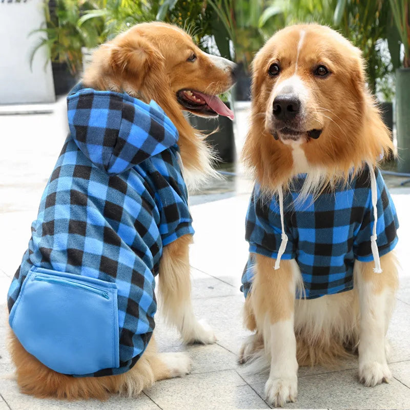 A golden retriever wearing a blue and black plaid reversible jacket sitting outdoors.