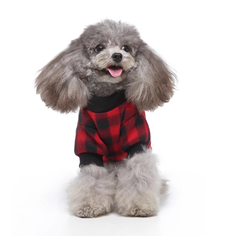 A fluffy gray poodle wearing a red plaid shirt and black sweater.