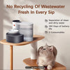 A clear automatic pet drinking water dispenser sits on a wooden table next to a cat.