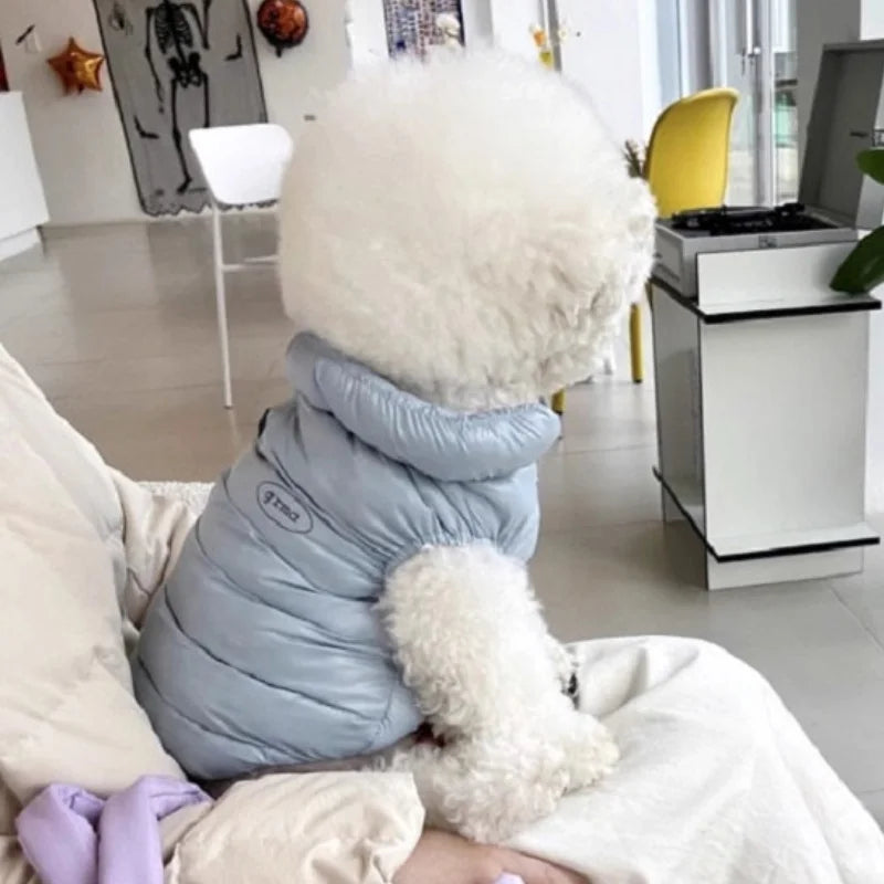 Ein flauschiger weißer Hund- oder Katzenmantel wird in den Schoß einer Person gehalten.