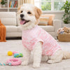 Ein flauschiger weißer Hund mit einem rosa Tarnweste sitzt auf einem hellen Teppich.