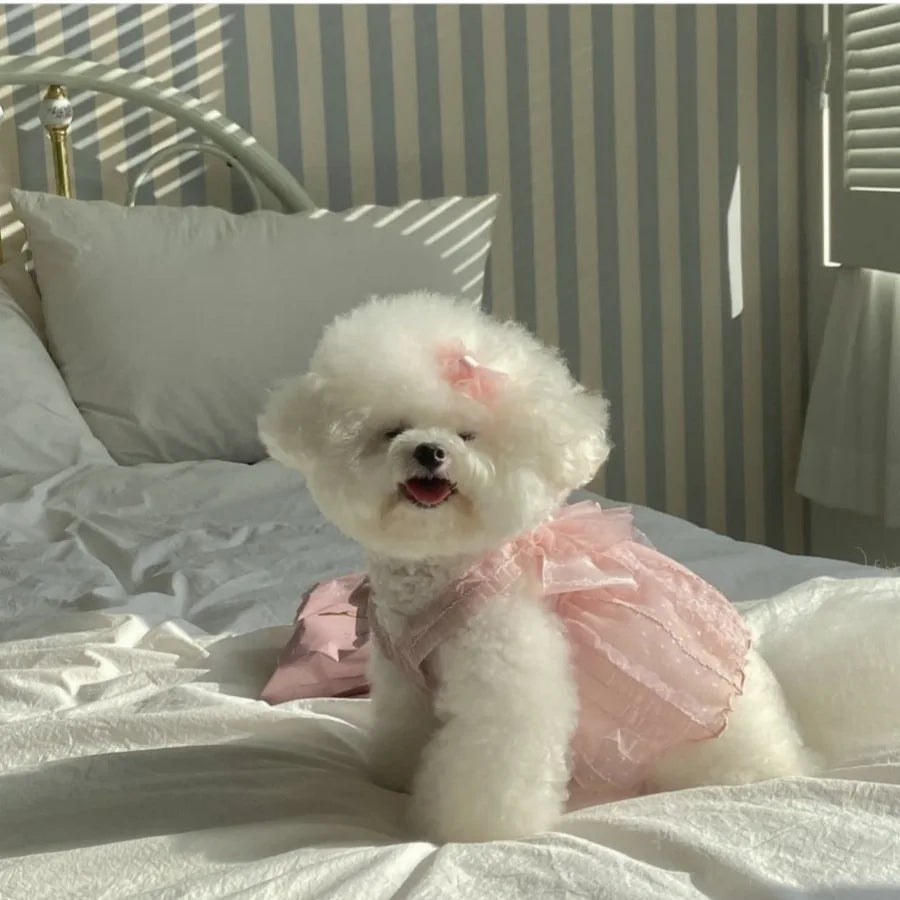 A fluffy white dog wearing a pink tulle dress lying on white bedding.