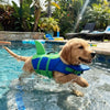 A golden retriever wearing a bright green and blue high visibility life vest swims in a pool.