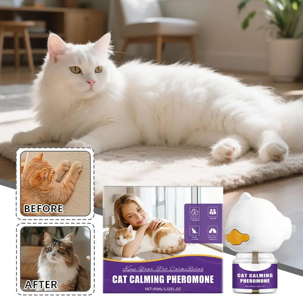 A white cat is shown next to a diffuser device for cat calming pheromone.
